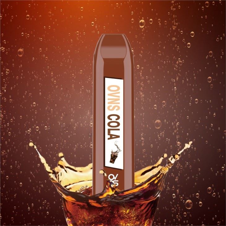 Hot Disposable Vape Electronic Cigarette 1500Puffs Custom Logo Vape Pen