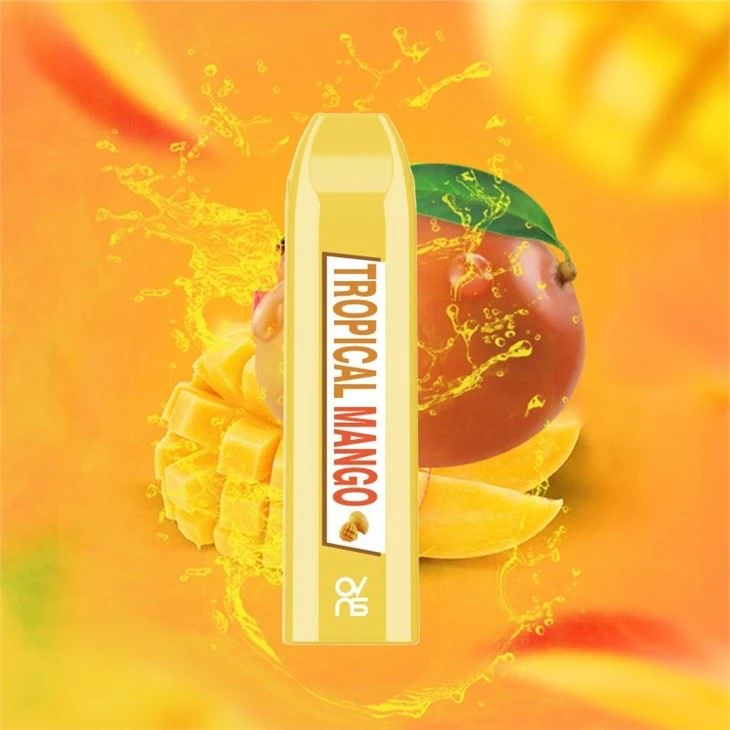 Hot Disposable Vape Electronic Cigarette 1500Puffs Custom Logo Vape Pen