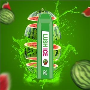 Shenzhen Electronic Cigarette 2.3ml Nikotin 500 Puff Jednokratno Vape Bujni led