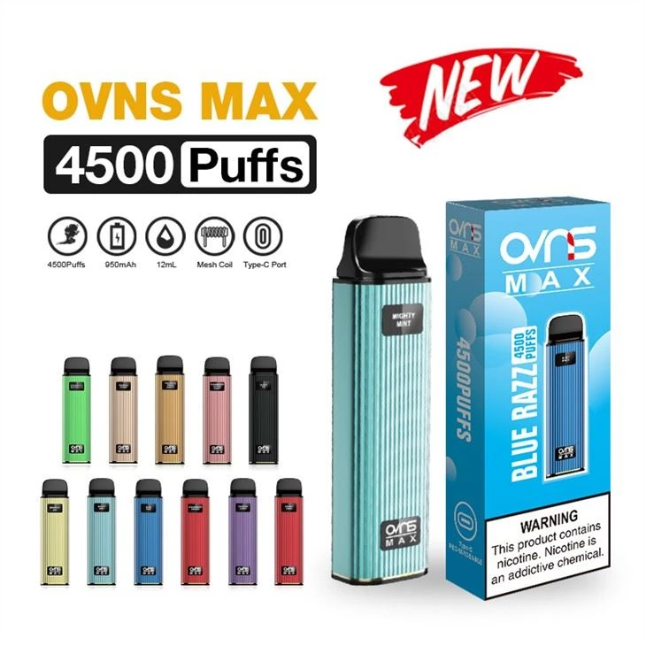 Disposable Vape Pen 4500 Puffs Factory