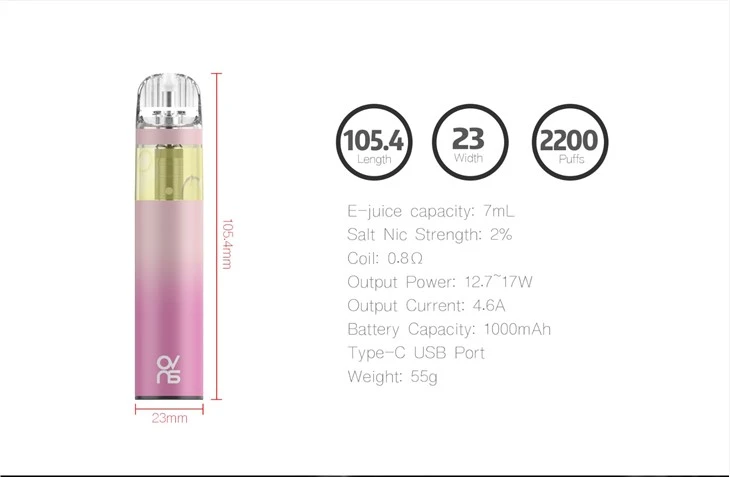 Disposable Vape Pen Mesh Smoke