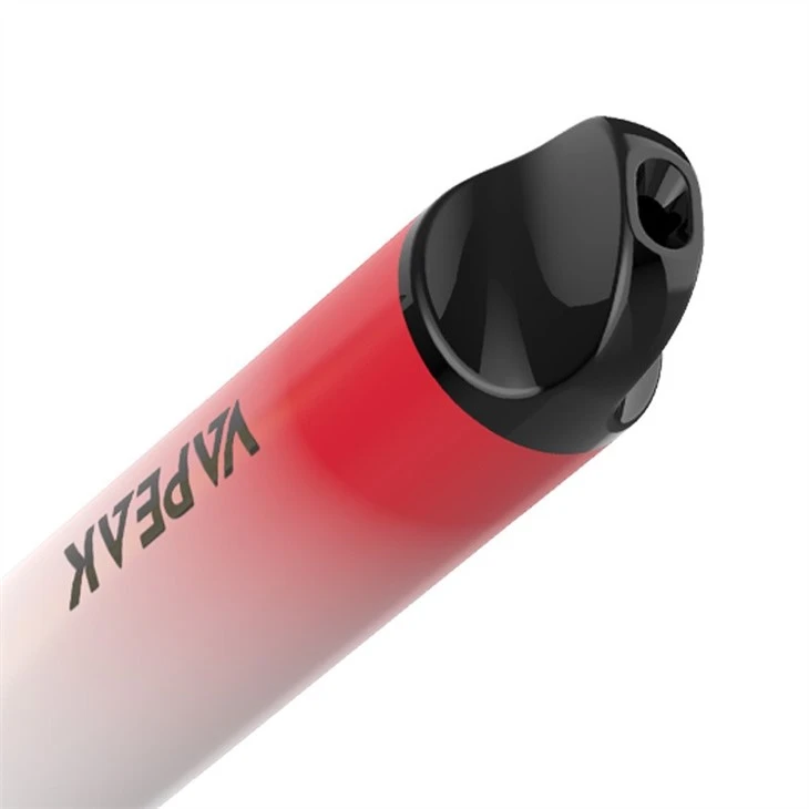 Disposable Vape With Mesh Coil