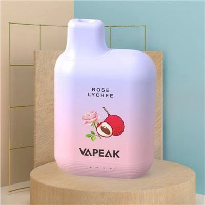 Vape 5000 Puffs