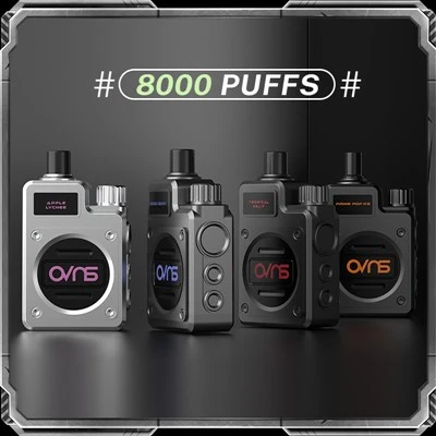 Dual Coil 8000 Puffs E Cigarette