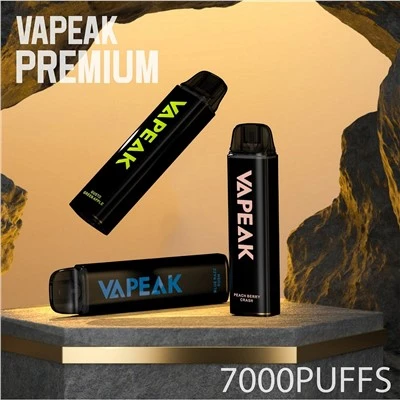 Premium 7000 Puffs Mesh Coil Vape