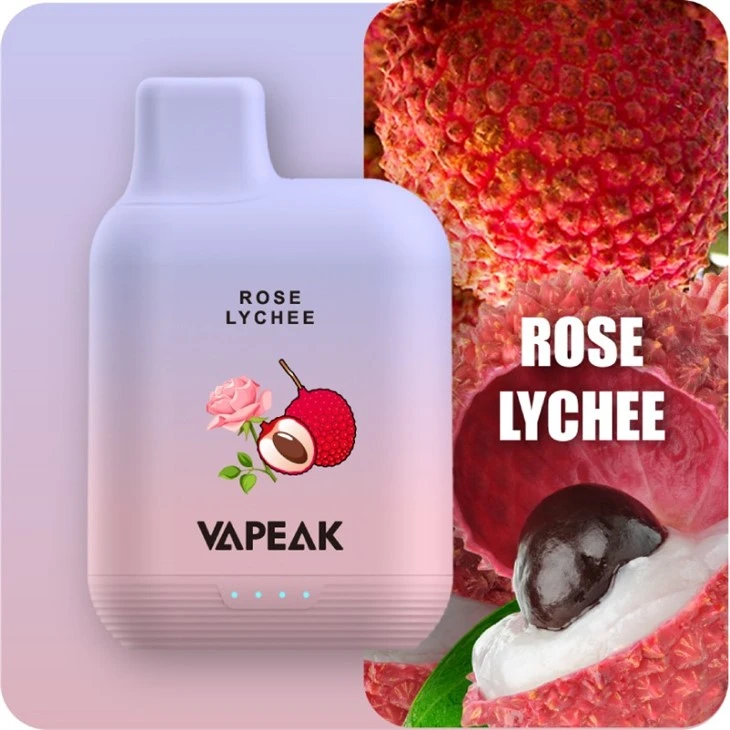 Vapeak Disposable Big 5000 Puffs 15ml E-Liquid Vape Pod Device